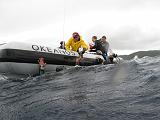 Isla del Coco - 159